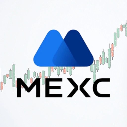 خرید آی‌ پی ثابت مکسی Maxi