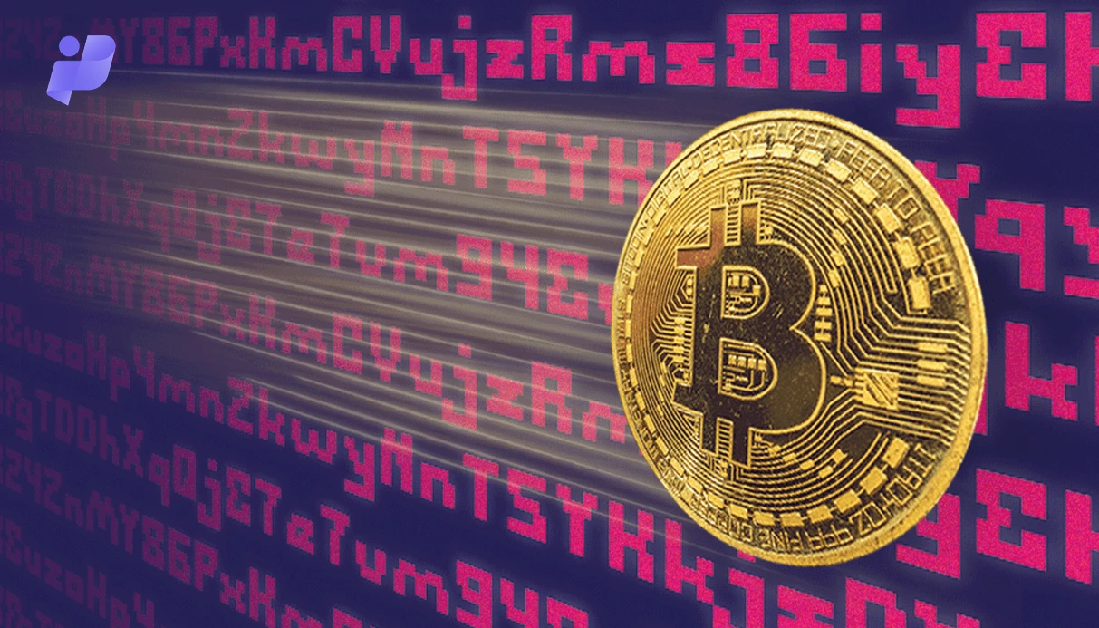 آدرس ونیتی برای کدام شبکه ها رایج تر است؟